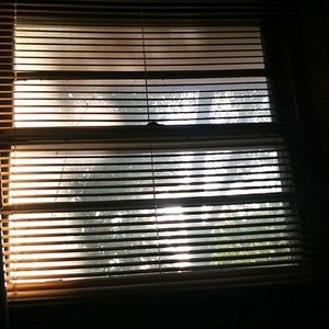 Meet your Posher, Misterry